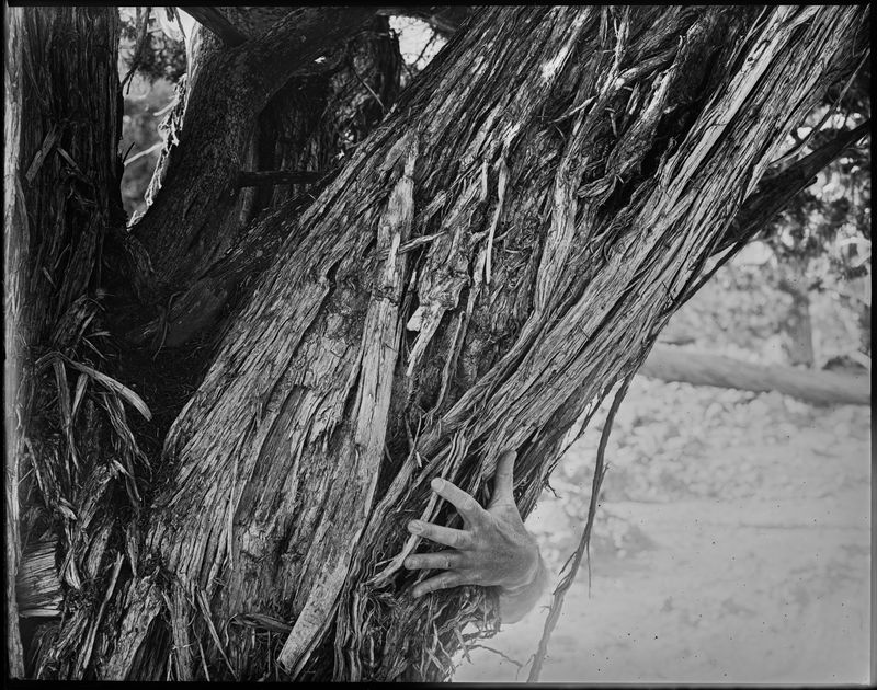 © Ton - Embrace - Embracing life.