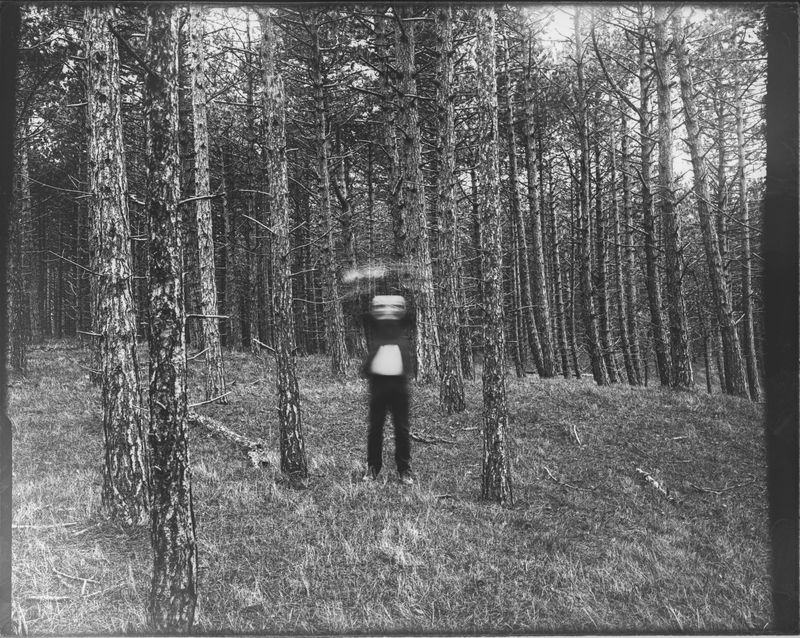 © Ton - Branches of Becoming - Standing among tall trees is symbolic of being grounded and striving upward.
