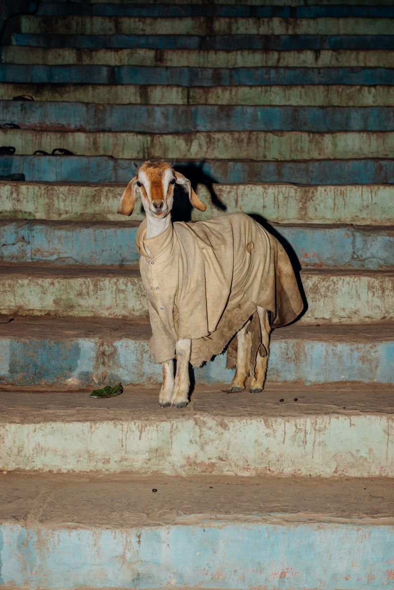 © Venice Gordon - Image from the Sultan Resort Venice Gordon photography project