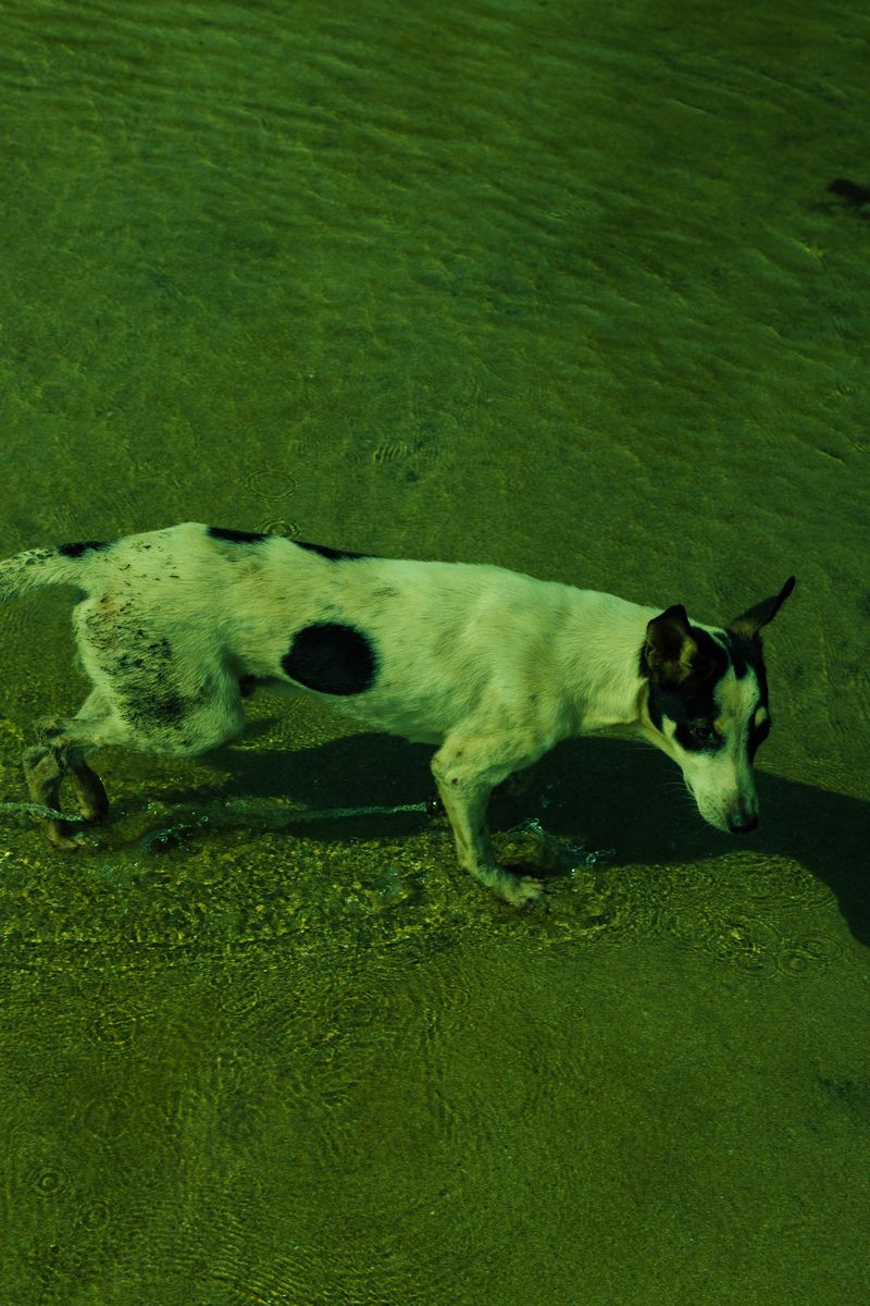 © Venice Gordon - Image from the Sultan Resort Venice Gordon photography project