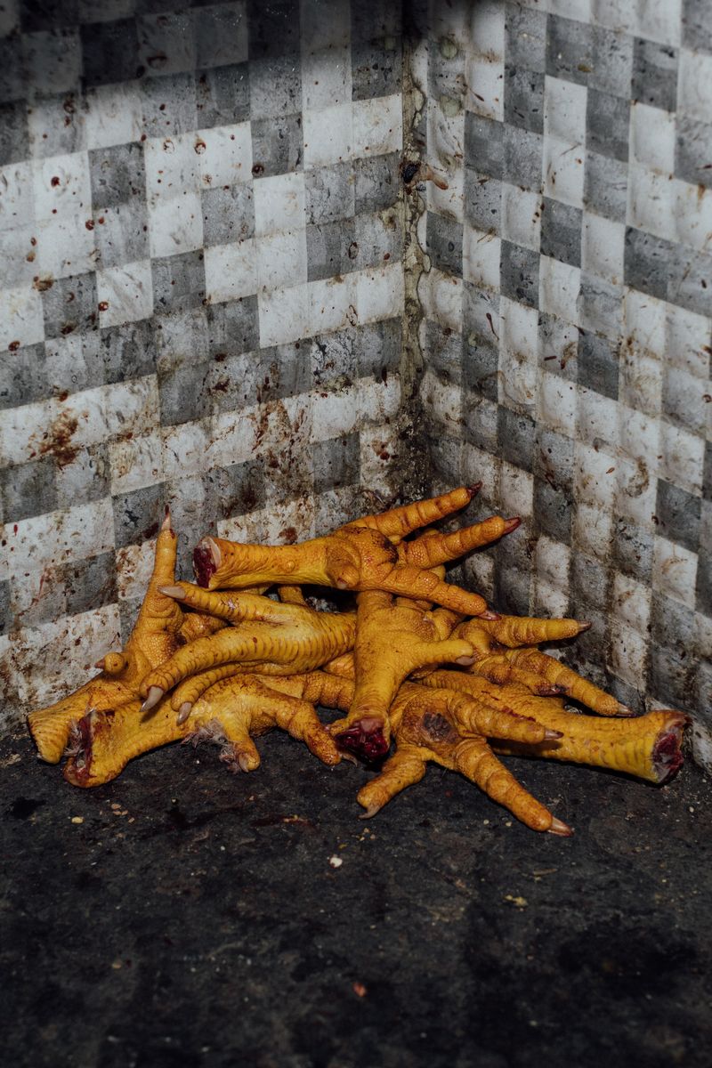 © Venice Gordon - Image from the Sultan Resort Venice Gordon photography project