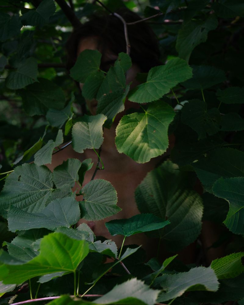 © Briar Marsh Pine - Self-Decoration, 2024