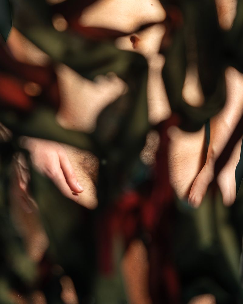 © Briar Marsh Pine - Covert, 2025