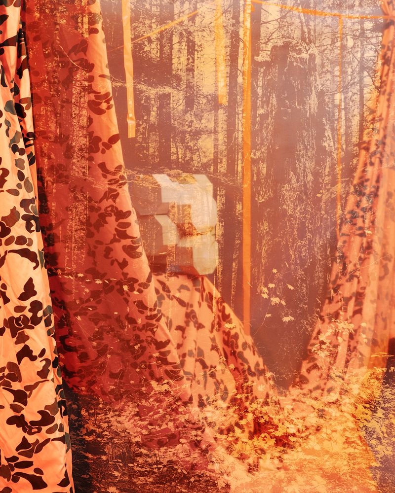© Briar Pine - Cabin, 2025