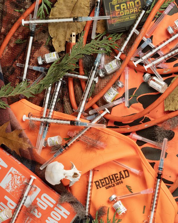 © Briar Pine - Materials of High Visibility, 2024
