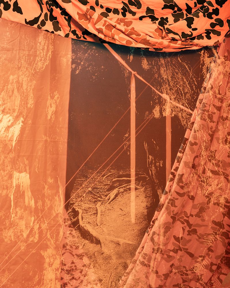 © Briar Pine - Looking at while looking through, 2025