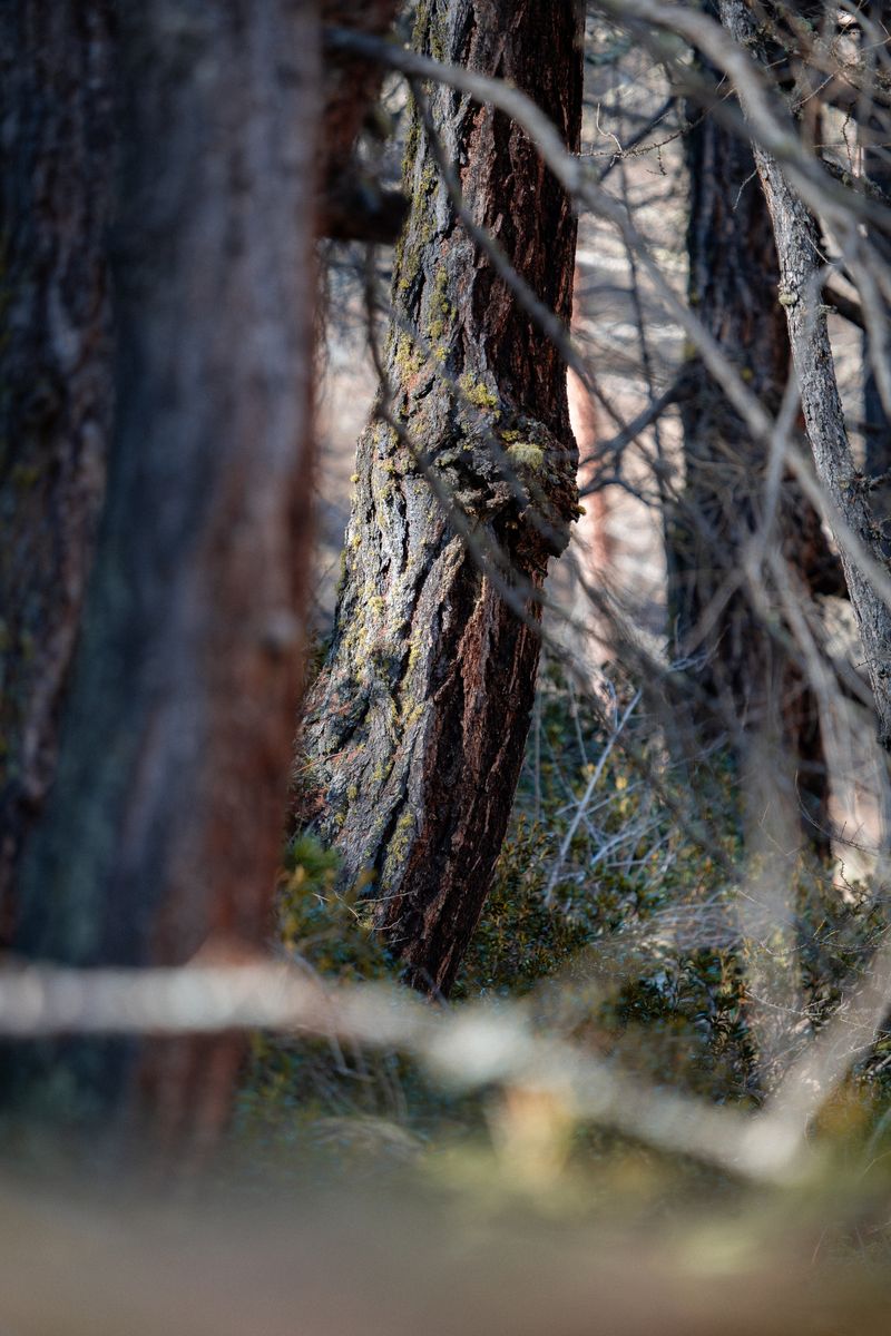 © Ariane Totzke - #9