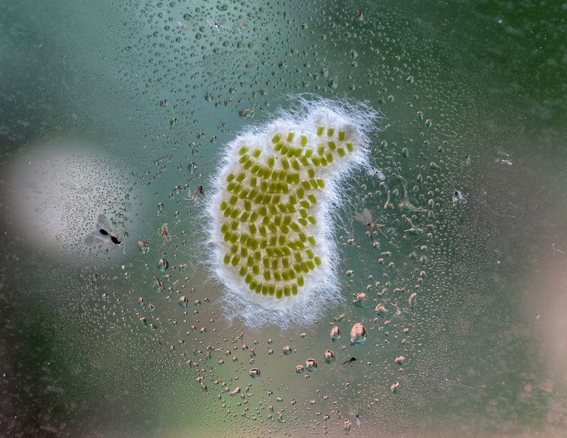 © Luana Tabbara - Image from the Invisible Strings photography project