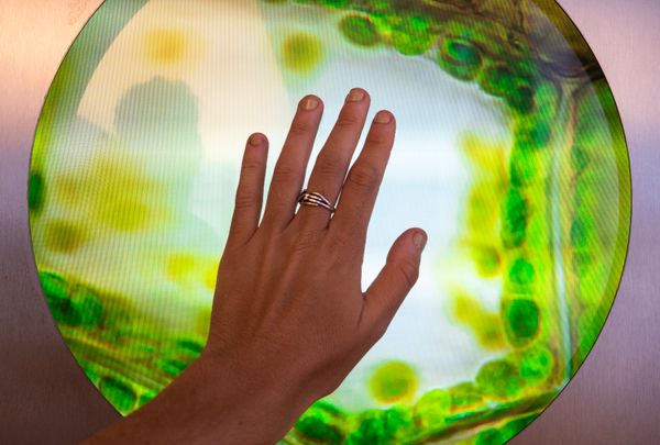 © Luana Tabbara - Image from the Invisible Strings photography project