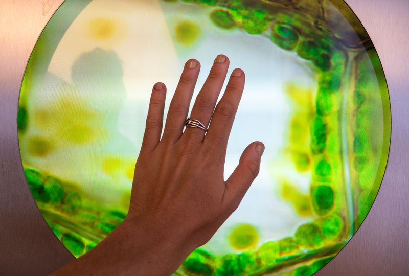 © Luana Tabbara - Image from the Invisible Strings photography project