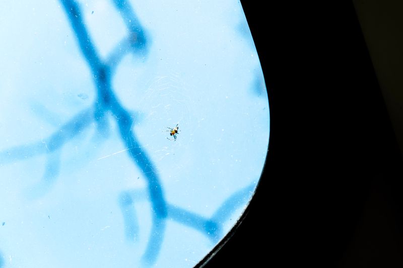 © Luana Tabbara - Image from the Invisible Strings photography project