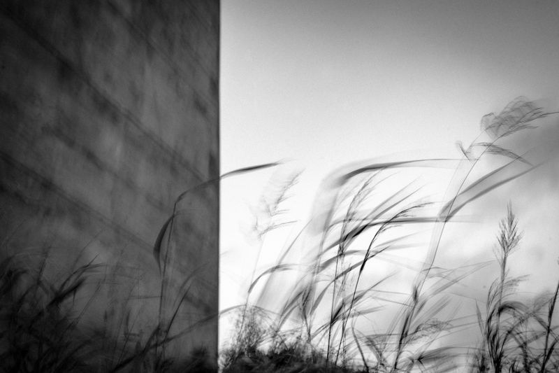 © Aizaz Leghari - Image from the Displaced Identity photography project
