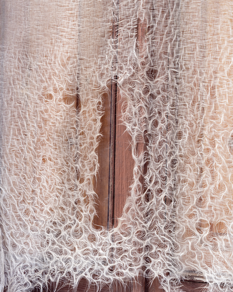 © Guglielmo Cherchi - Image from the Garden of Elsewheres photography project