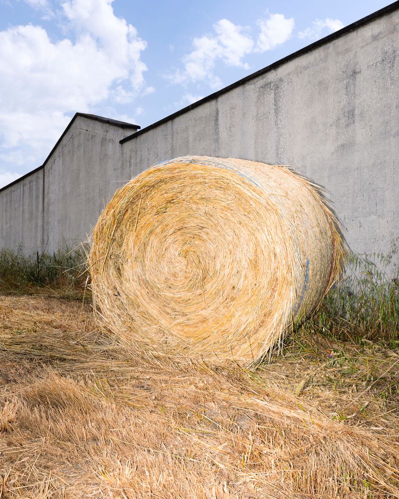 © Guglielmo Cherchi - Image from the Garden Of Elsewheres photography project