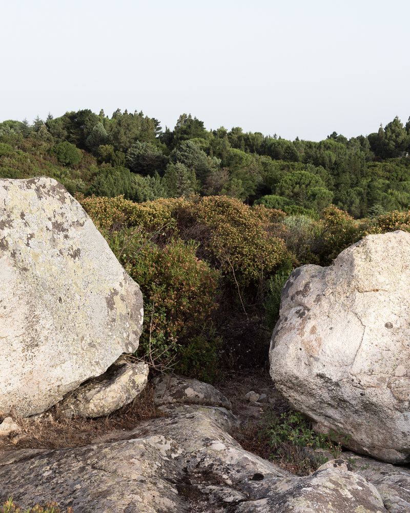 © Guglielmo Cherchi - Image from the Stones Should Never Be Placed Carelessly photography project