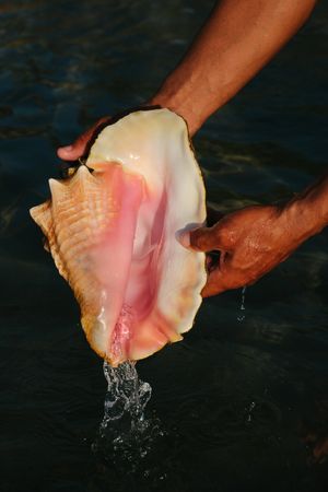 La Matria que me parió (the motherland that bore me)