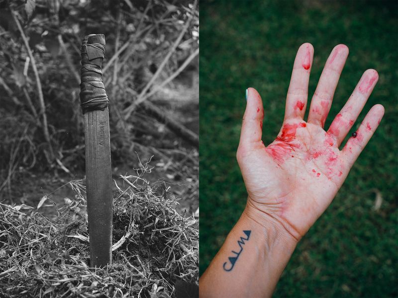 © Jahel Guerra Roa - Machete.My hand full of freshly picked wild berries. Los Andes, Venezuela.