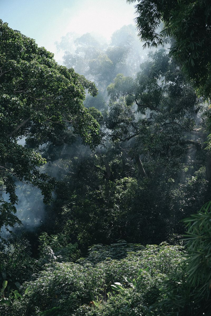 © Jahel Guerra Roa - Image from the La Matria que me parió (the motherland that bore me) photography project