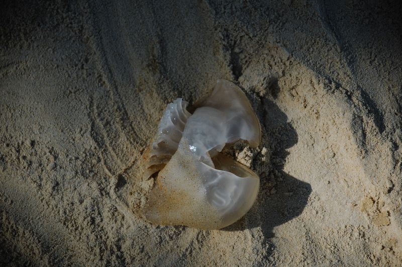 © Jahel Guerra Roa - Image from the La Matria que me parió (the motherland that bore me) photography project