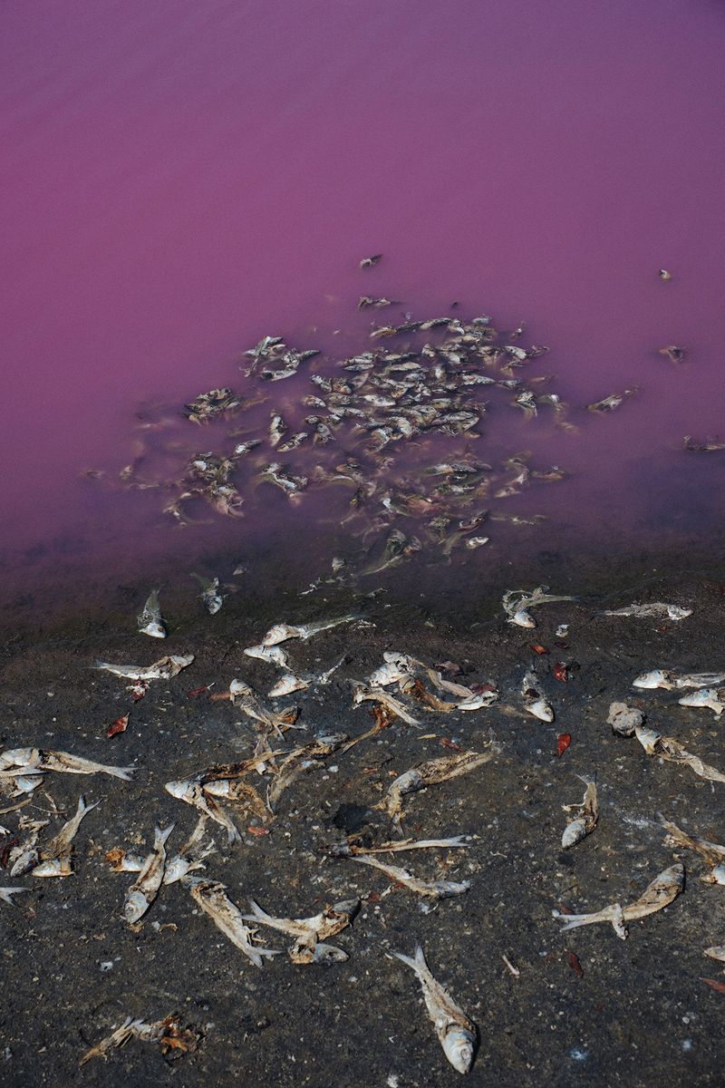 © Jahel Guerra Roa - Image from the La Matria que me parió (the motherland that bore me) photography project