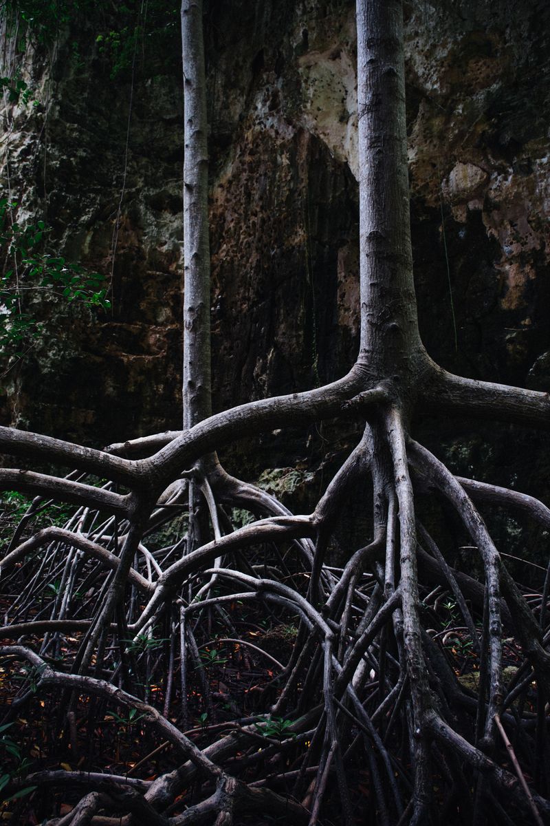 © Jahel Guerra Roa - Image from the La Matria que me parió (the motherland that bore me) photography project