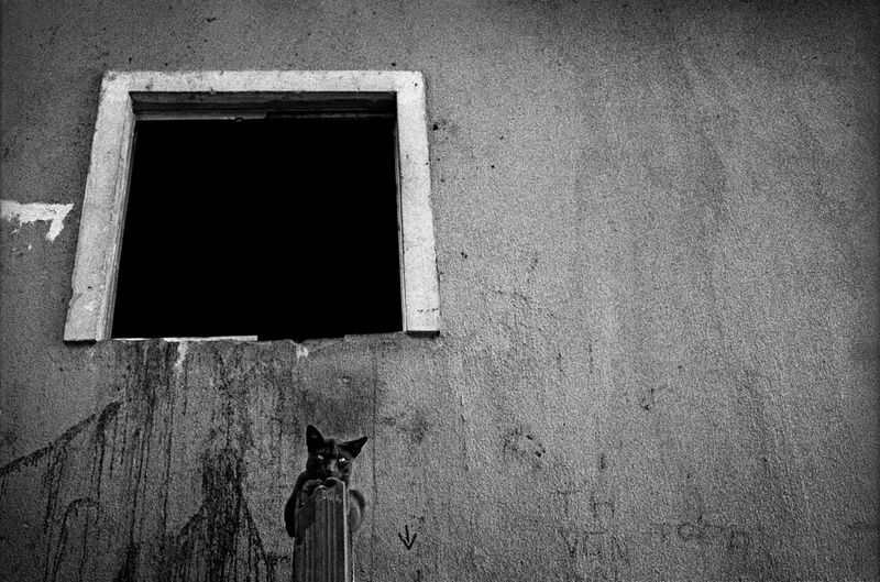 © giorgio negro - Image from the Pathos photography project