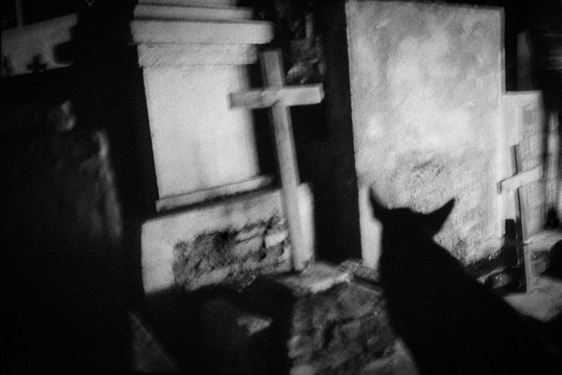 © giorgio negro - Image from the Pathos photography project