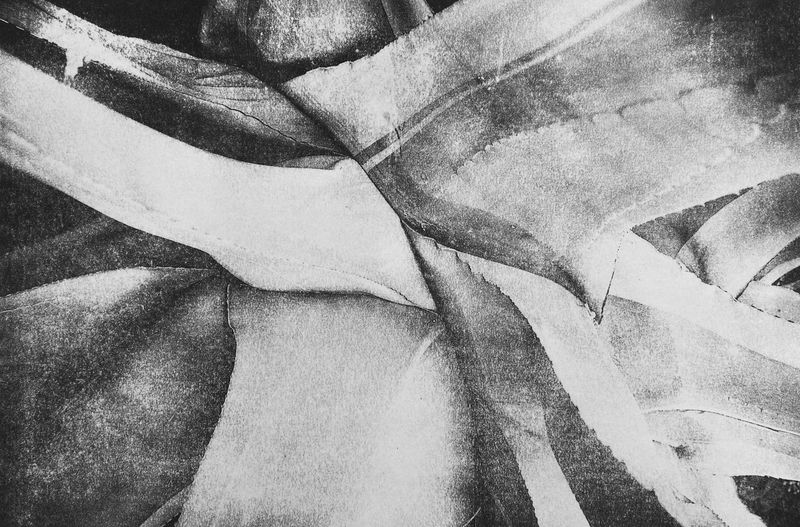 Image from a project on PhMuseum