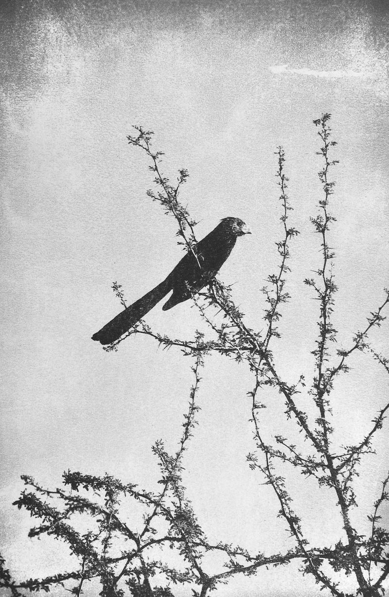 Image from a project on PhMuseum