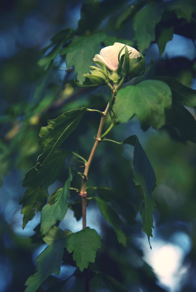 © Ayline Olukman - Image from the Our Wild Lives photography project