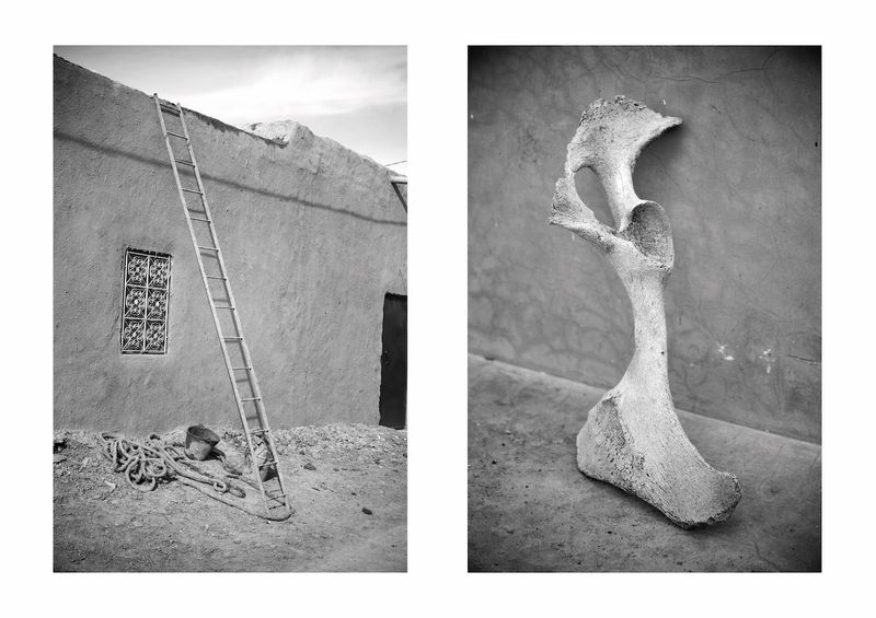 © Ayline Olukman - ladder. bone