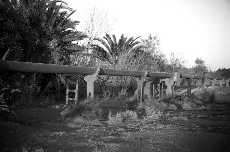 © Ayline Olukman - pipeline