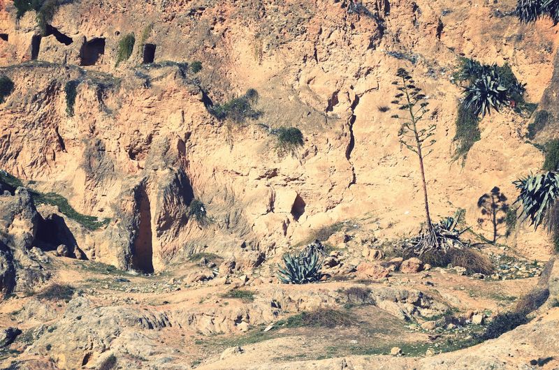 © Ayline Olukman - théâtre