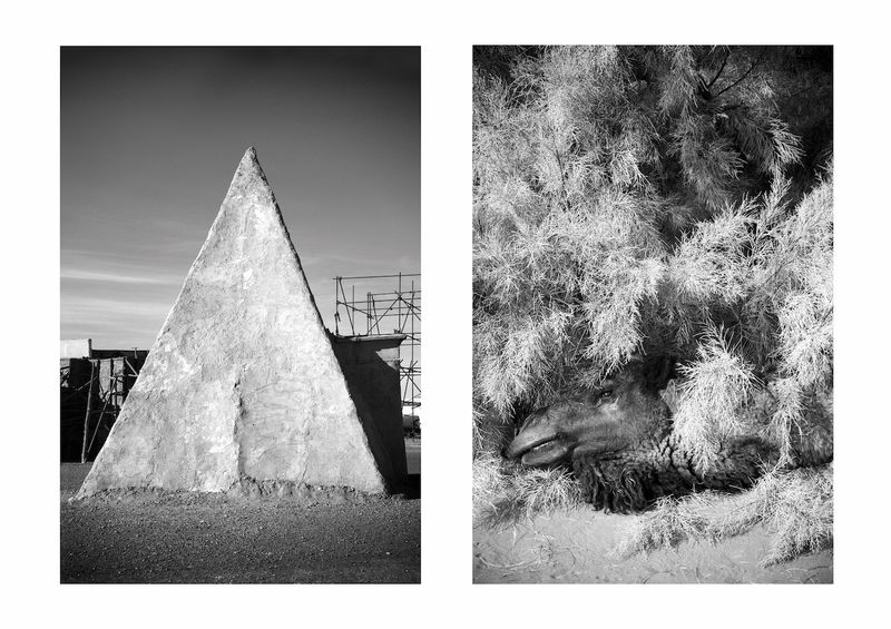 © Ayline Olukman - temple. camel eye