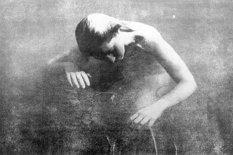 © Ayline Olukman - Image from the Our wild lives II photography project