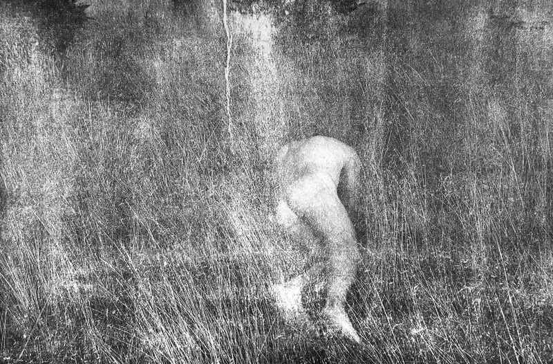 © Ayline Olukman - Image from the Our wild lives II photography project