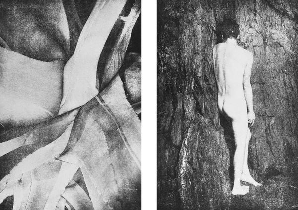 © Ayline Olukman - Image from the Our wild lives II photography project