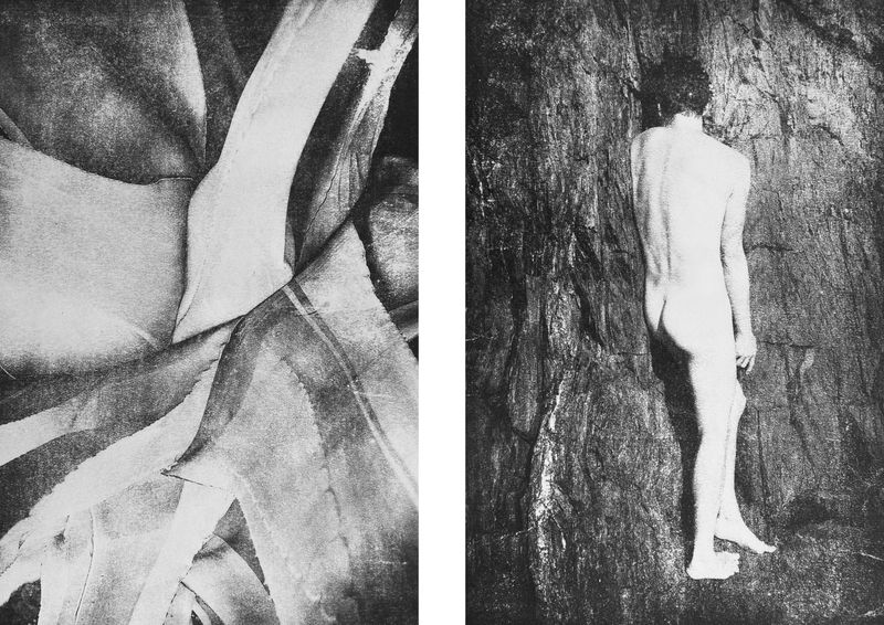 © Ayline Olukman - Image from the Our wild lives II photography project