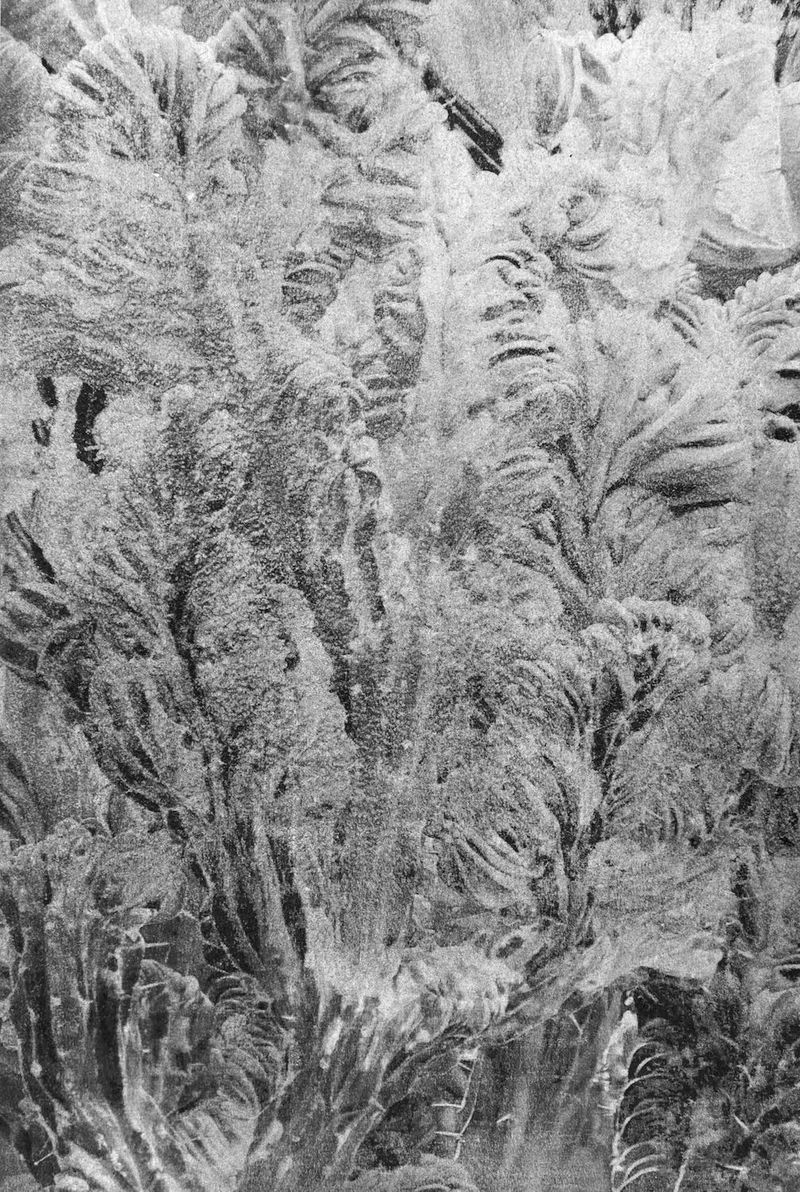 © Ayline Olukman - Image from the Our wild lives II photography project