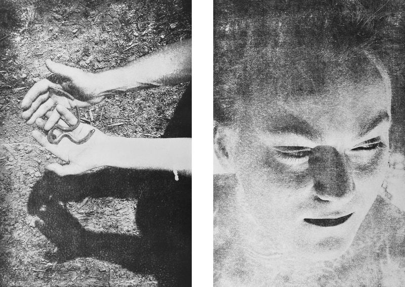 © Ayline Olukman - Image from the Our wild lives II photography project