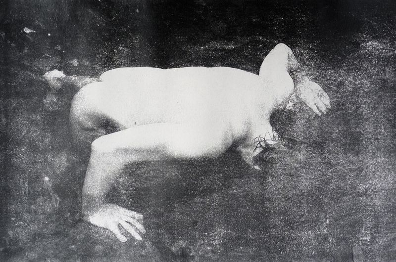 © Ayline Olukman - Image from the Our wild lives II photography project