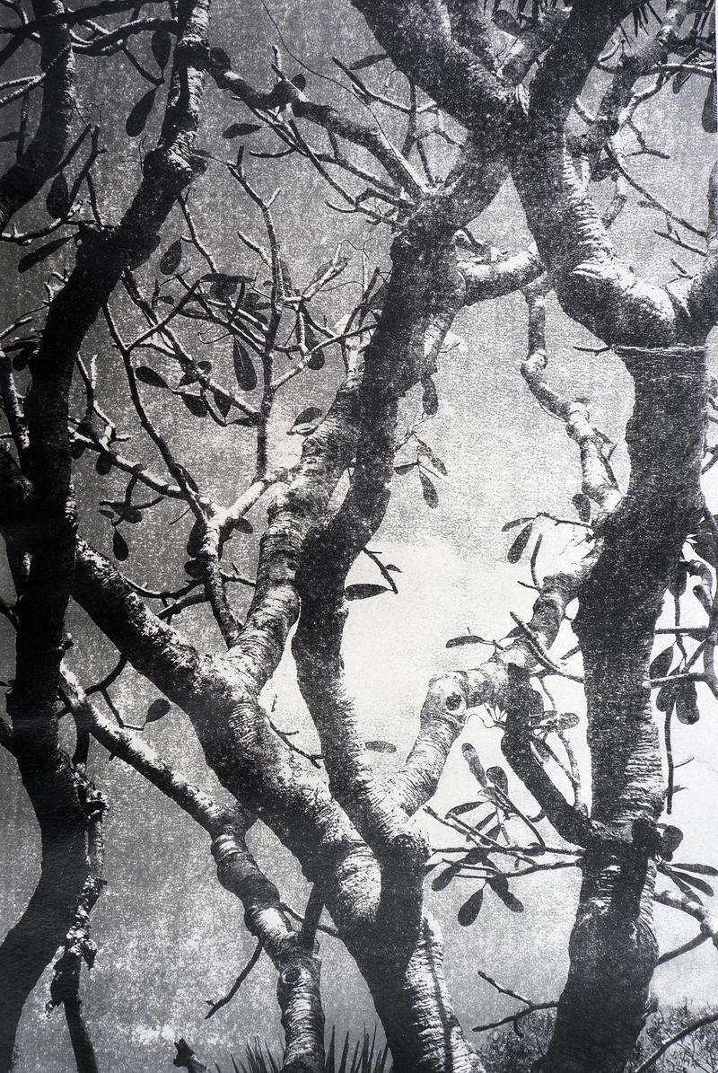 © Ayline Olukman - Image from the Our wild lives II photography project