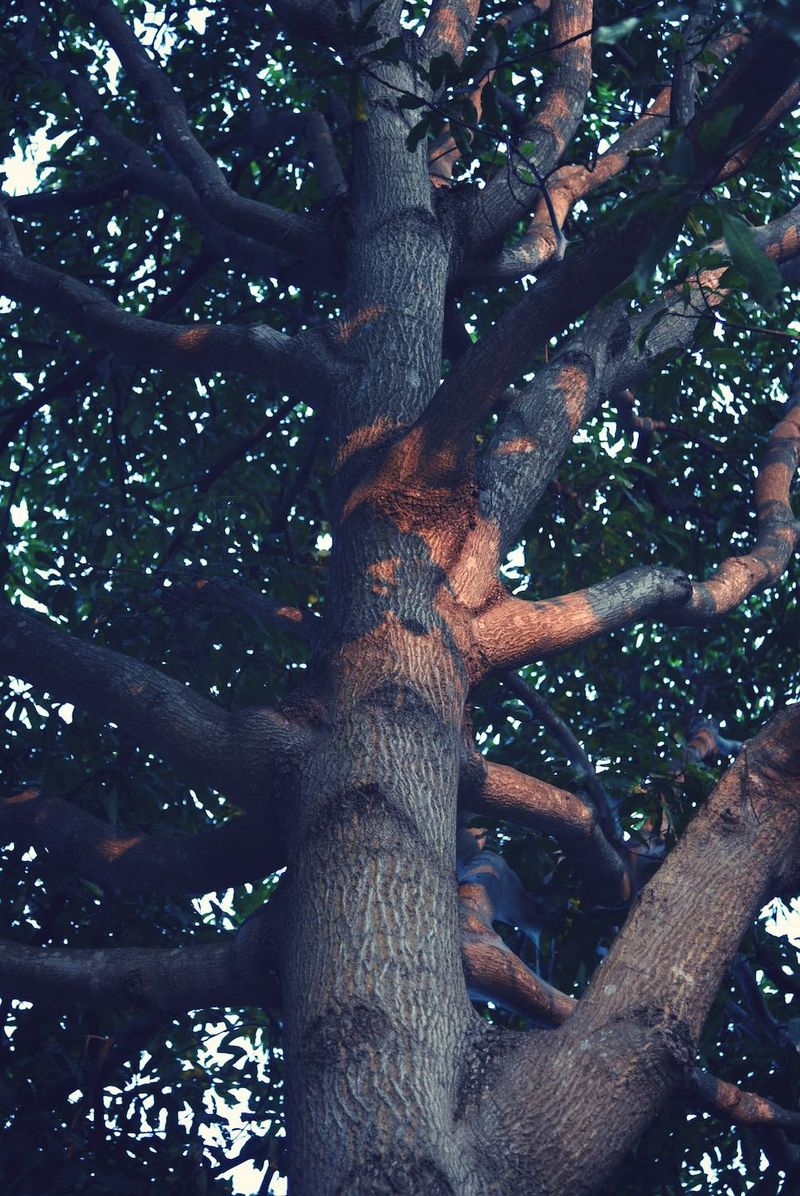 © Ayline Olukman - Image from the our wild lives photography project