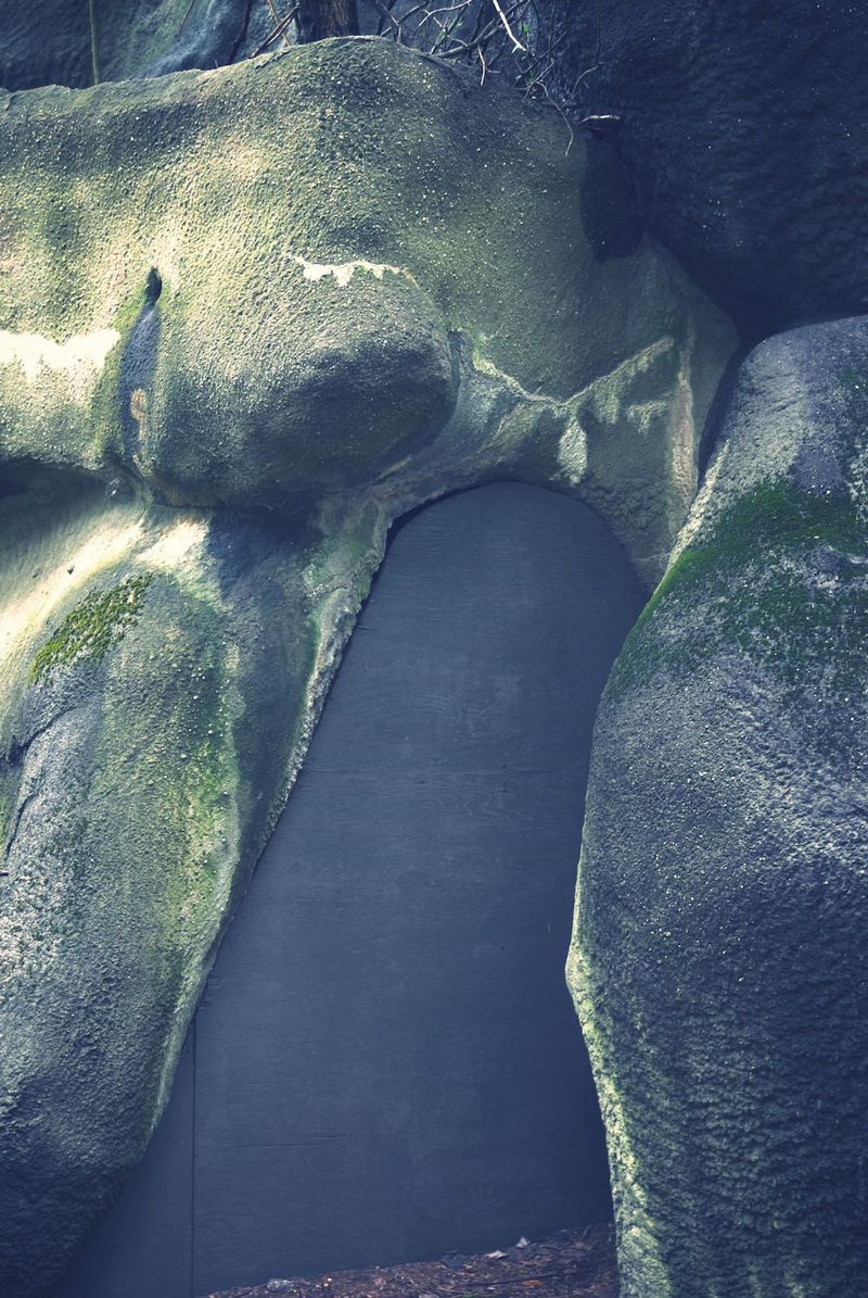 © Ayline Olukman - Image from the our wild lives photography project