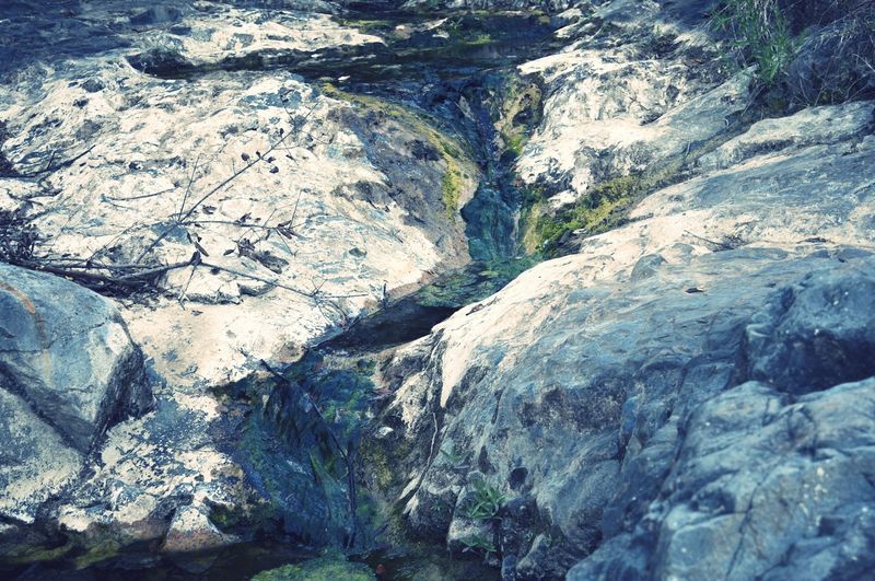 © Ayline Olukman - Image from the our wild lives photography project