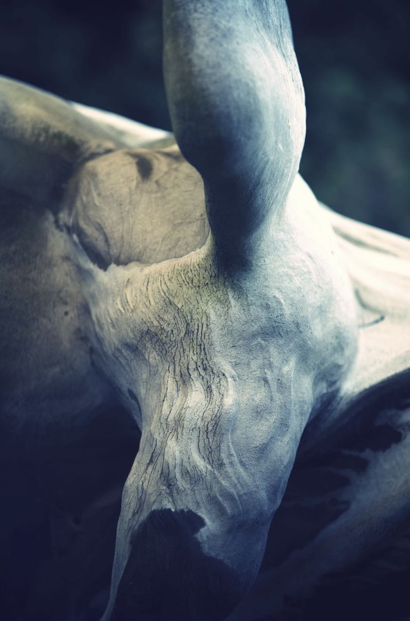 © Ayline Olukman - Image from the our wild lives photography project