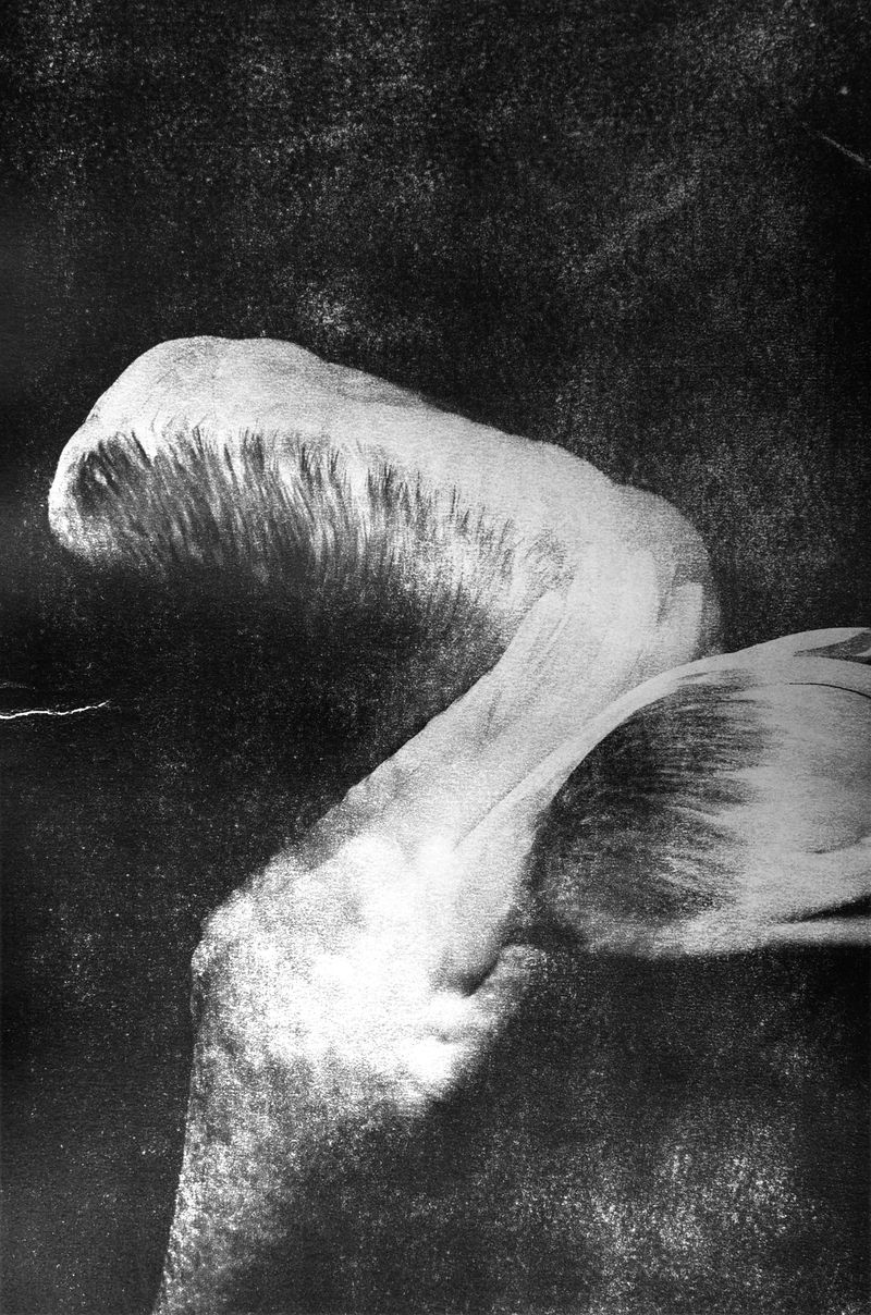 © Ayline Olukman - Image from the tell me about the immense sea photography project