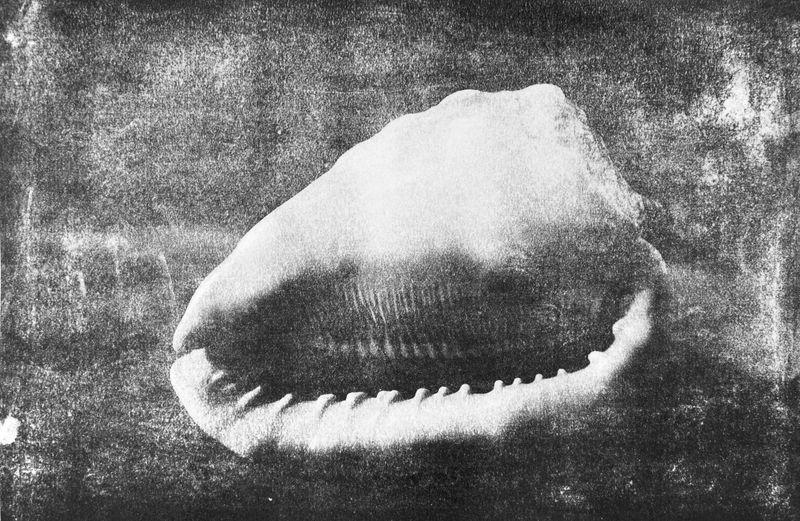 © Ayline Olukman - Image from the tell me about the immense sea photography project