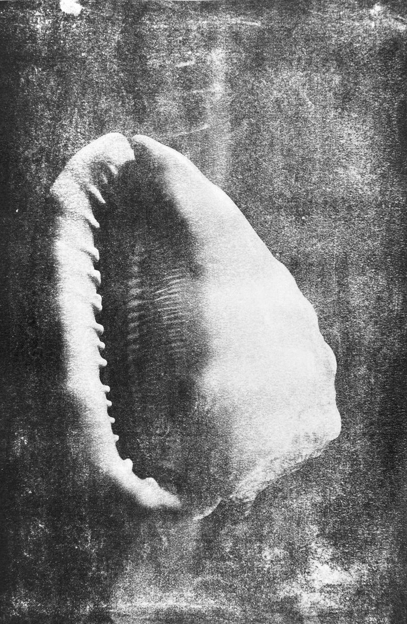 © Ayline Olukman - Image from the tell me about the immense sea photography project