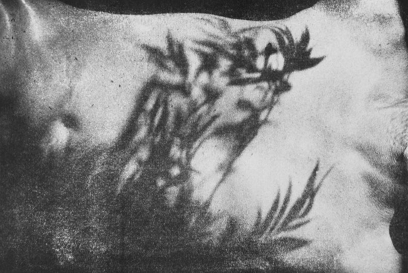 © Ayline Olukman - Image from the tell me about the immense sea photography project